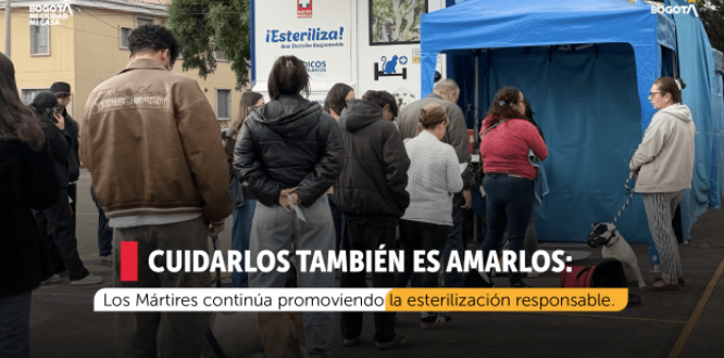 Esterilización animal en Los Mártires: fechas y puntos para cuidar a nuestras mascotas