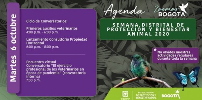 Hoy ciclo de conversatorios en la Semana Distrital de Protección y Bienestar Animal 2020 #ZoomosBogotá Hoy ciclo de conversatorios en la Semana Distrital de Protección y Bienestar Animal 2020 #ZoomosBogotá
