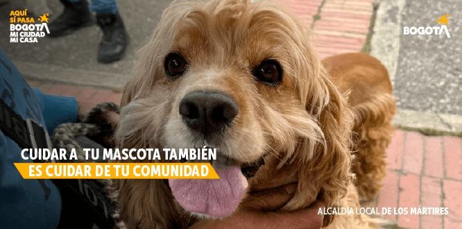Foto Jornada de Bienestar Animal - Alcaldía Local de Los Mártires