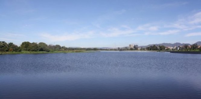 Desde este martes Secretaría de Ambiente habilita el ingreso a 13 humedales Desde este martes Secretaría de Ambiente habilita el ingreso a 13 humedales