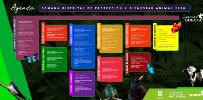 Ya llega la Semana Distrital de Protección y Bienestar Animal 2020 #ZoomosBogotá Ya llega la Semana Distrital de Protección y Bienestar Animal 2020 #ZoomosBogotá