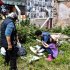Llega la exposición Herbario del Bronx: vida y memoria entre las ruinas
