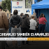 Esterilización animal en Los Mártires: fechas y puntos para cuidar a nuestras mascotas