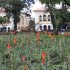 Plaza España